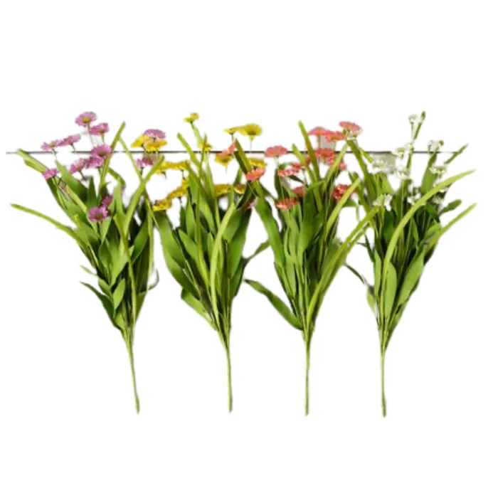 COREOPSIS BUNCH