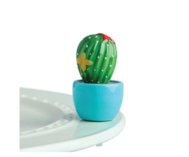 Mini Can’t Touch This Cactus