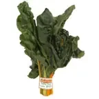 Rainbow Swiss Chard