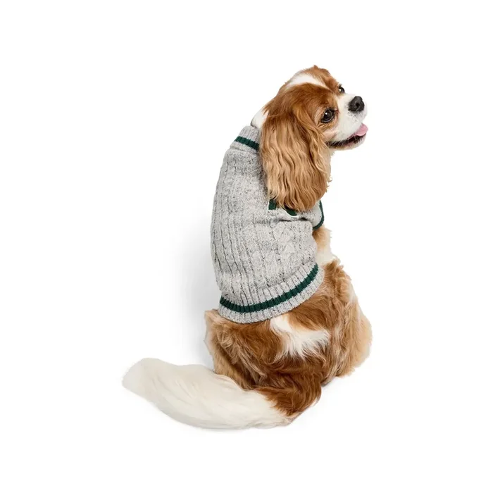 Reddy Logo Cardigan Pet Sweater, Grey, Medium