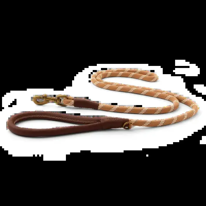 Reddy Tan Rope Dog Leash