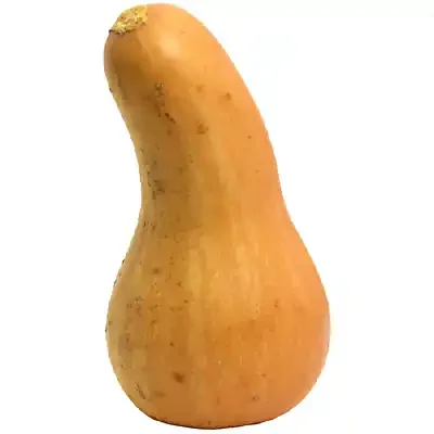 Redner‘s Butternut Squash