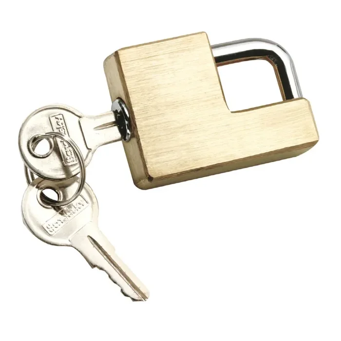 Reese Brass Coupler Lock