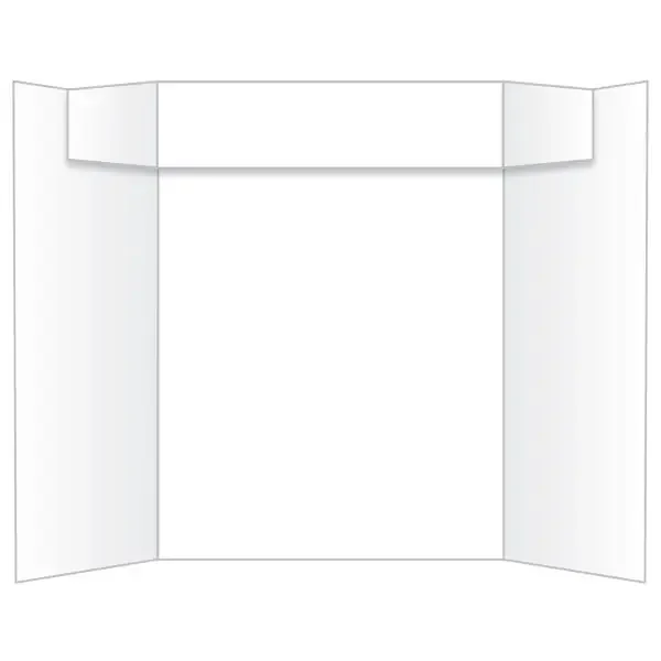 Royal Brites Eco Brites Too Cool Tri-Fold Poster Board, 24 x 36, White/White