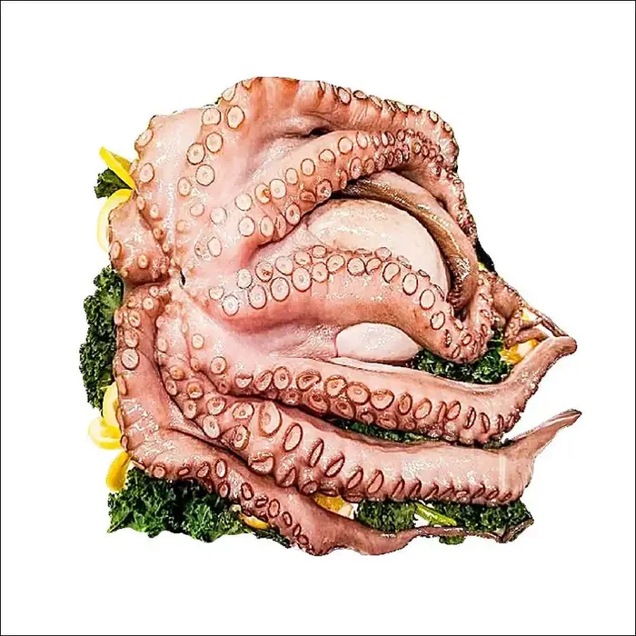 Spain Octopus 4/6