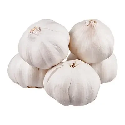 Spice World Fresh Garlic